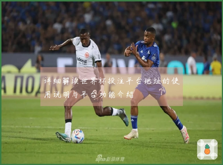 详细解读世界杯投注平台地址的使用说明与平台功能介绍