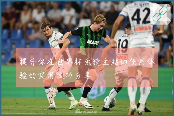 提升你在世界杯竞猜主站的使用体验的实用技巧分享