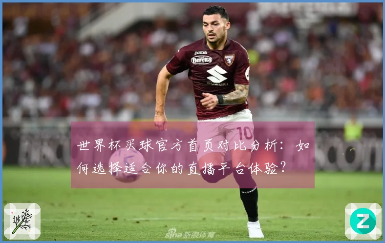 世界杯买球官方首页对比分析：如何选择适合你的直播平台体验？