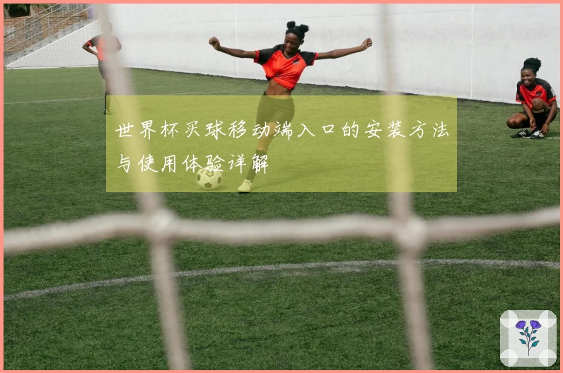 世界杯买球移动端入口的安装方法与使用体验详解